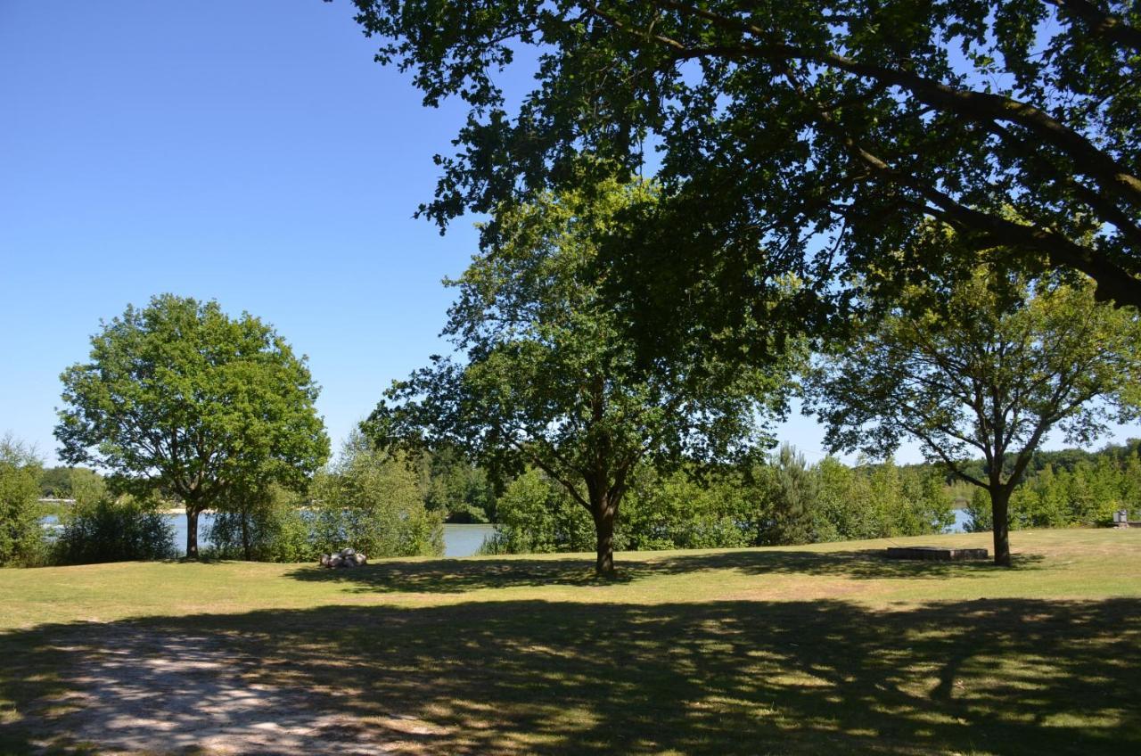 Drents Genieten - Lavendelheide Met Uitzicht Op Het Water Erm Dış mekan fotoğraf